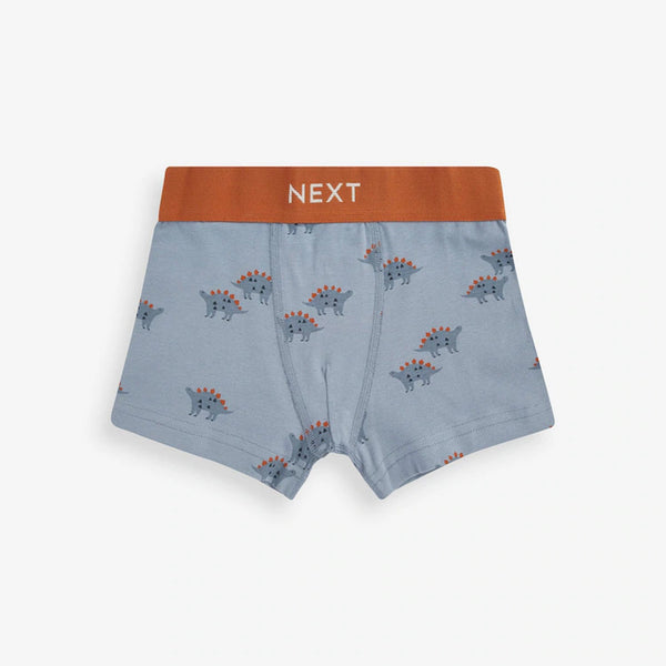 NXT Boy Grey Underwear Dino Printed