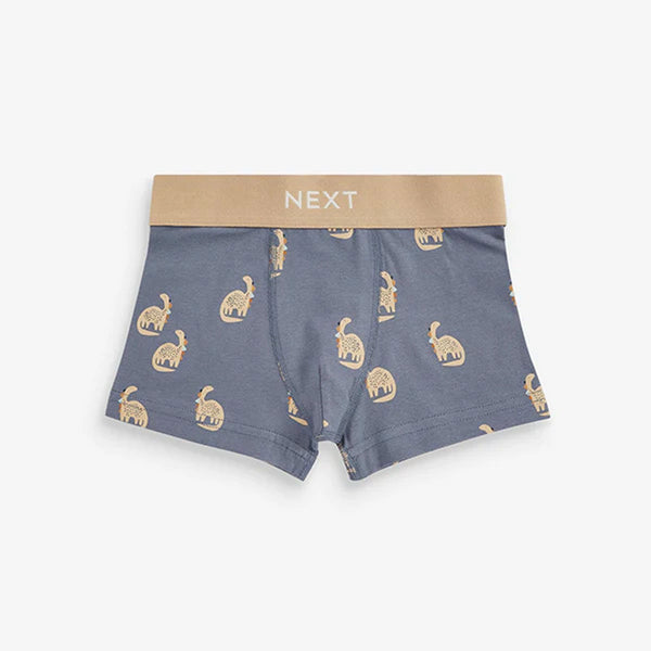 NXT Grey Dino Printed Underwear
