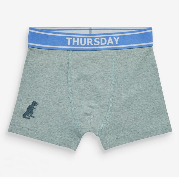 NXT Boy Green Dino Embroiedery Underwear