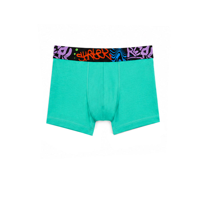 HM Boy See Green Printed Rib Boxer