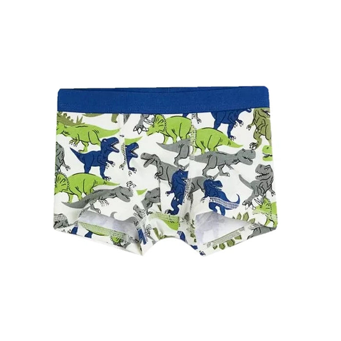 HM Boy Dino Printed Boxer