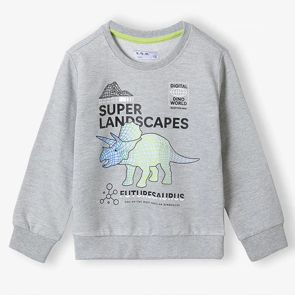 Boy Grey Color Dinosure Print Sweat Shirt