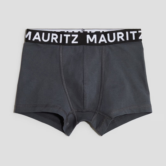 HM Boy Grey Boxer with MAURITZ Printed Rib