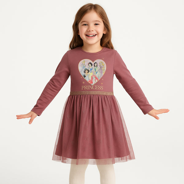 Gerg Girl Princess Printed Net Frock