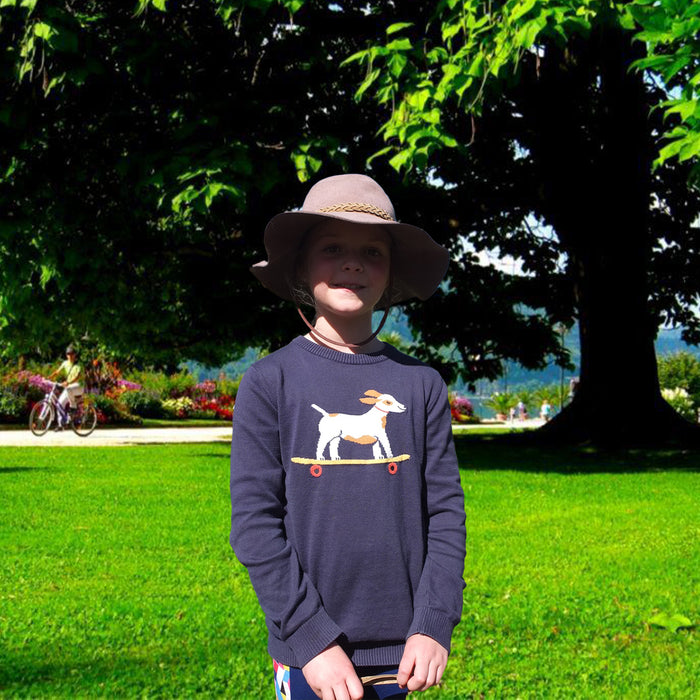 A N K O Boy Blue Skating Dog Sweater