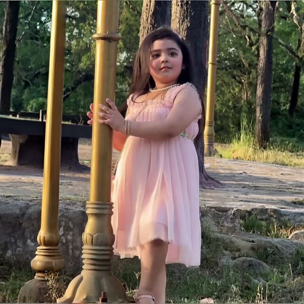 N B Girl Light Pink Color Fancy Frock