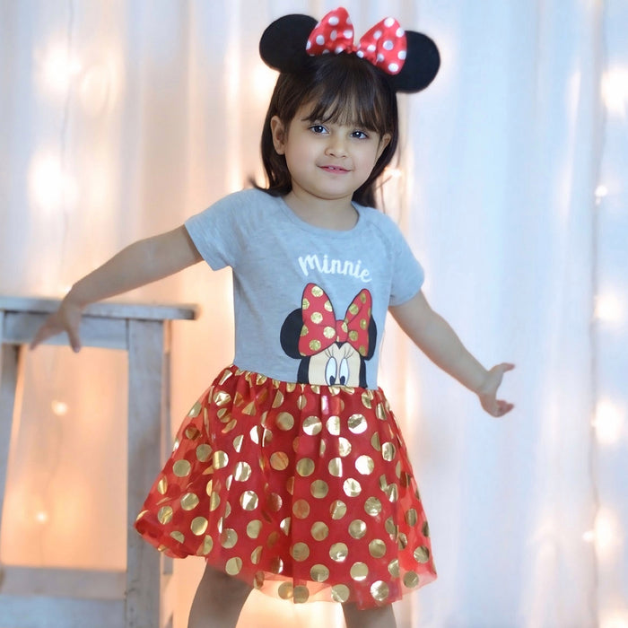 DSN Girl Minnie Mouse Design Rad Net Fancy Frock