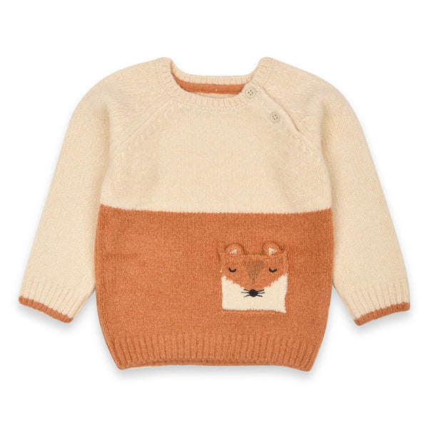 FF Girl Animal Pocket Sweater - TinyTikes.pk