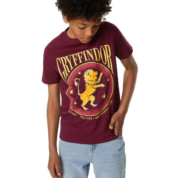 HP Boy Maroon Color Lion Print T-Shirt