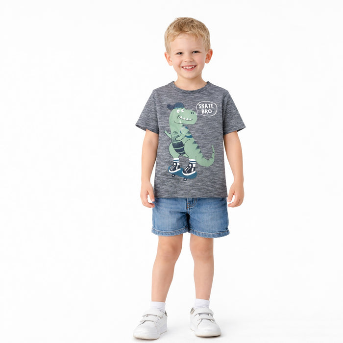 KIDS Boy Dino Printed Grey T-Shirt