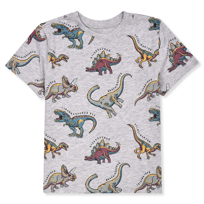 PRM Boy Grey Dinosure Printed T-Shirt