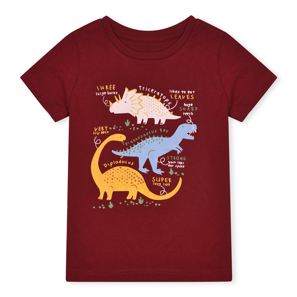 Boy Mehron Color Dinosure Print T-Shirt