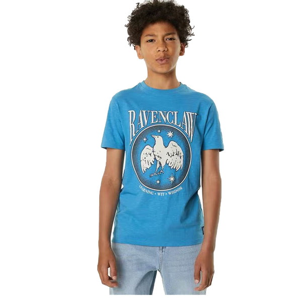 MS Boys Printed Raven Claw Sky Blue T-Shirt
