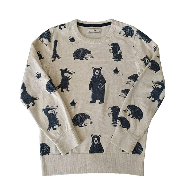 HM Boy Grey Bear And Hedgehog Printed Sweater