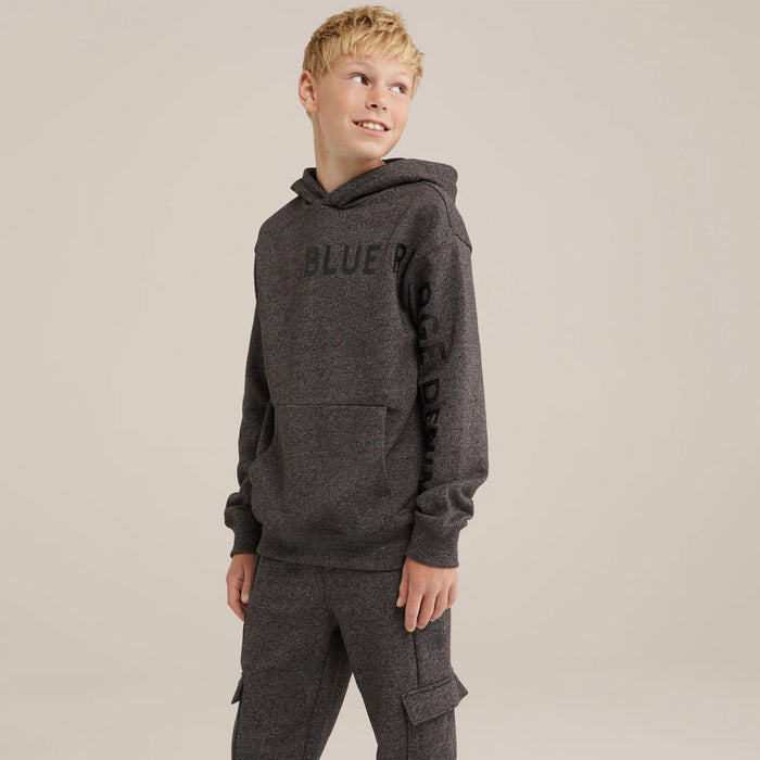 BR Boy Greyish Hoodie